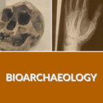 Bioarchaeology in Southeast Asia